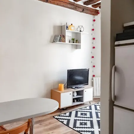 Beautiful Studio Next To From Notre Dame Cathedral *